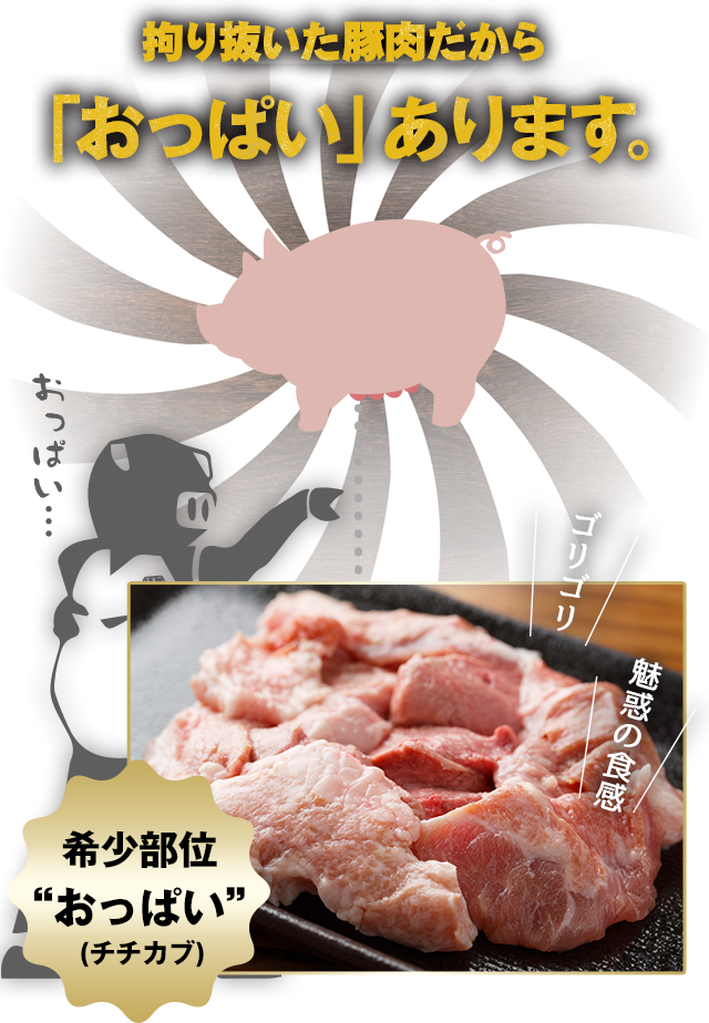 専門店だから「おっぱい」あります。